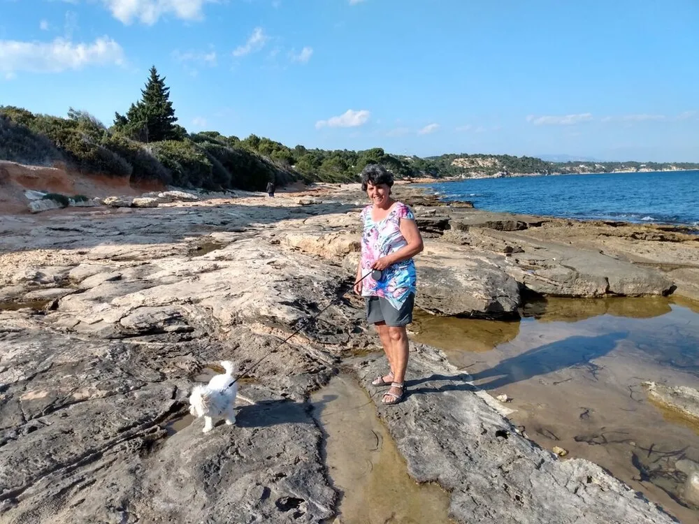 Keks läuft über eine felsige Küste, im Hintergrund das Meer